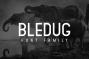 Bledug Family font download