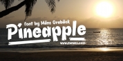Pineapple font download