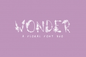 Wonder font download