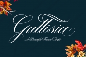 Gallisia font download