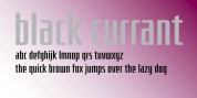 Black Currant font download