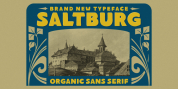 Saltburg font download