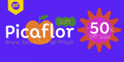 Picaflor Soft font download