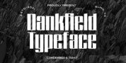 Dankfield font download