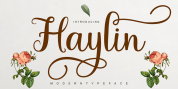 Haylin Script font download