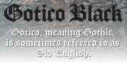 Gotico Black font download