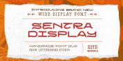 Sentra Display font download