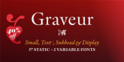 Graveur Text font download