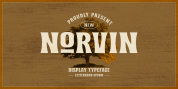 Norvin font download
