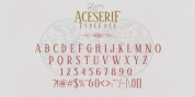 Aceserif font download