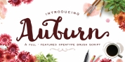 Auburn font download