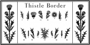 Thistle Borders font download