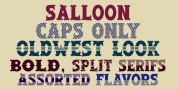 Salloon font download