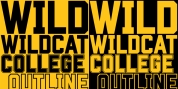 Wildcat font download