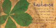 Castanea font download