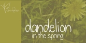 Dandelion In The Spring font download
