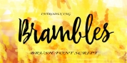 Brambles font download