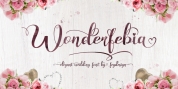 Wonderfebia font download