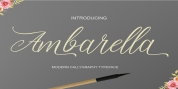 Ambarella font download