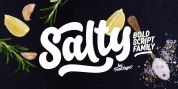 Salty font download