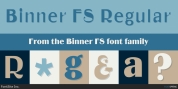 Binner FS font download
