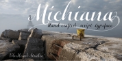 Michiana Pro font download