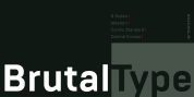 Brutal Type font download