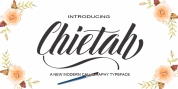 Chietah font download