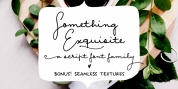Something Exquisite font download