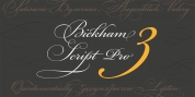 Bickham Script Pro 3 font download