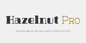 Hazelnut Pro font download
