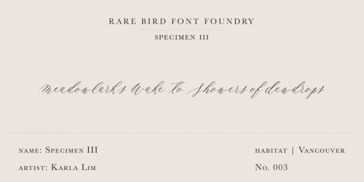 Rare Bird Specimen III font preview