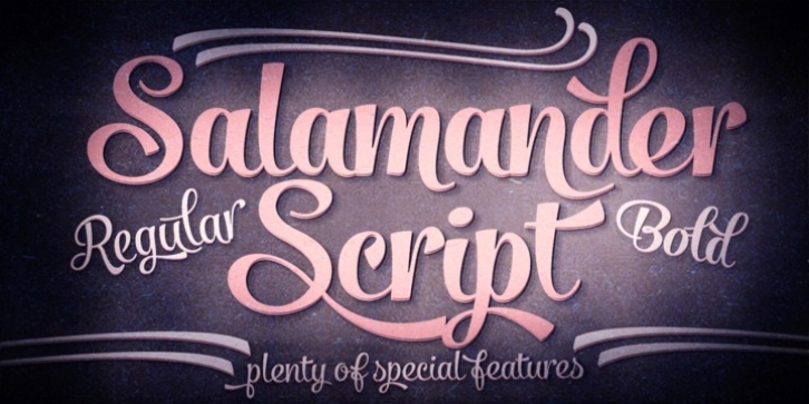 Salamander Script font preview