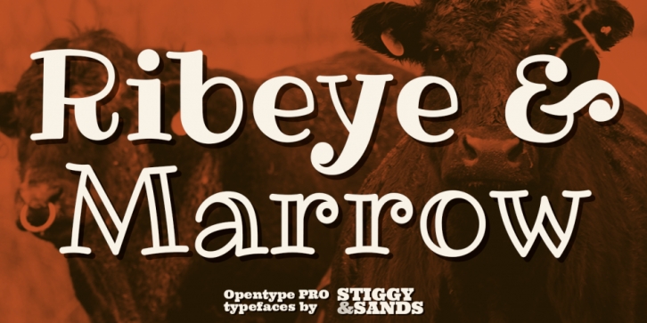 Ribeye Pro font preview