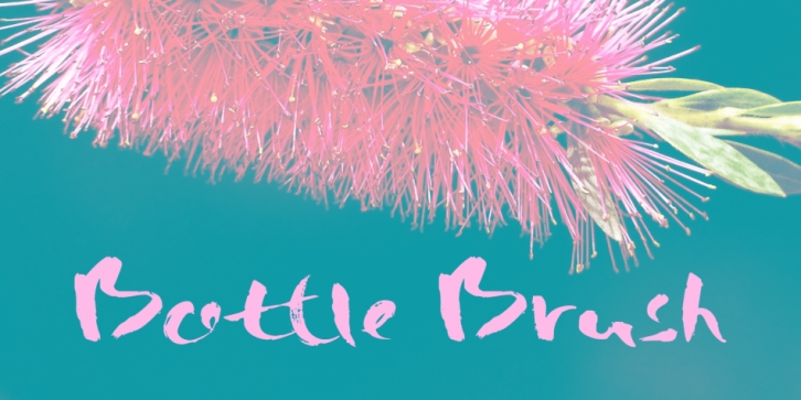 Bottle Brush font preview