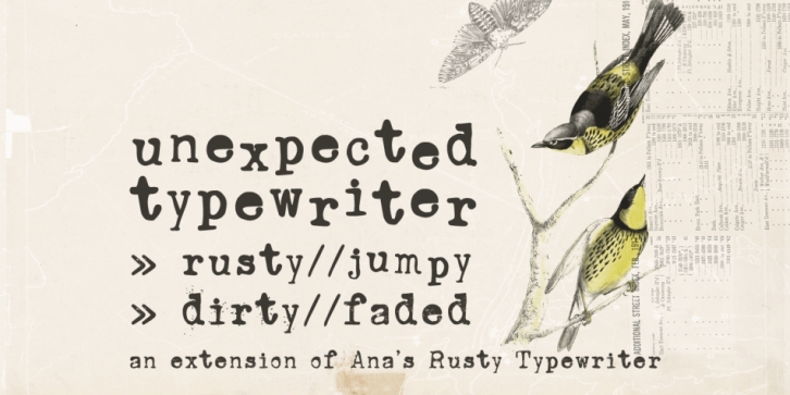Unexpected Typewriter font preview