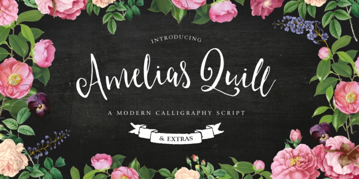 Amelia's Quill font preview