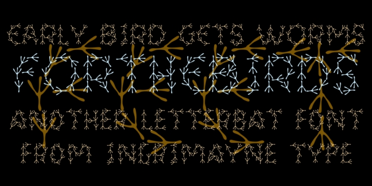 ForTheBirds font preview