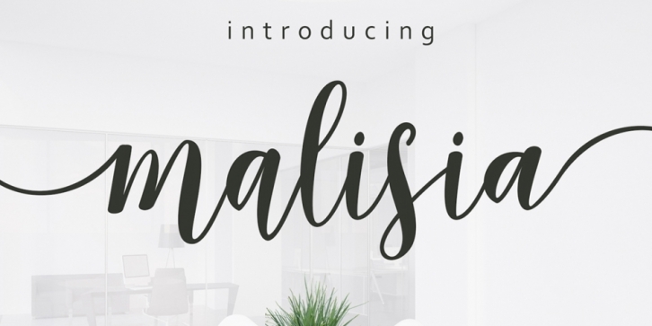 Malisia Script font preview