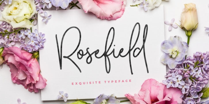 Rosefield font preview