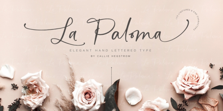 La Paloma Script font preview