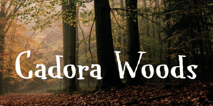 Cadora Woods font preview