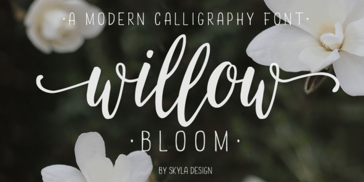 Willow Bloom font preview