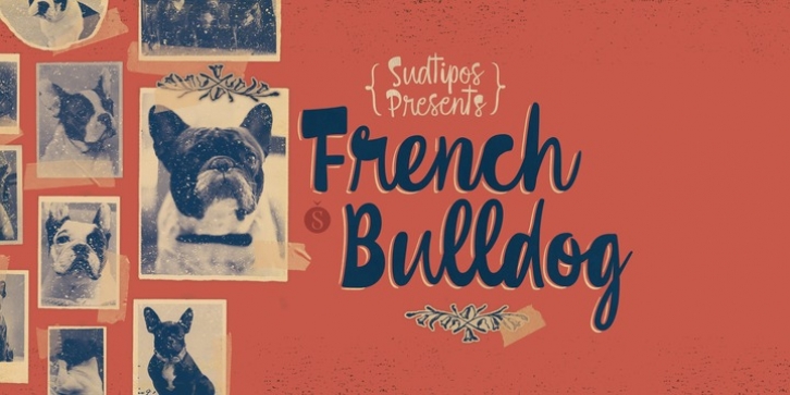 French Bulldog font preview