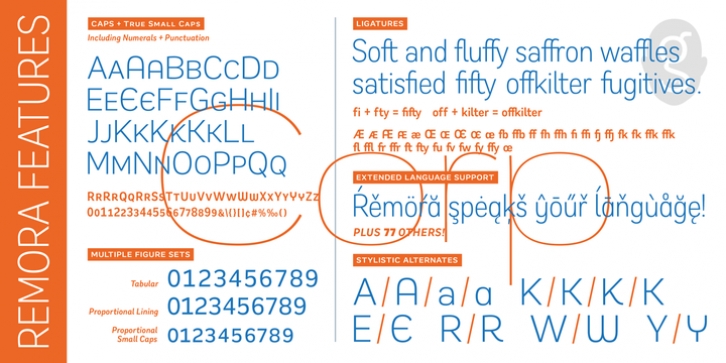 Remora Corp font preview