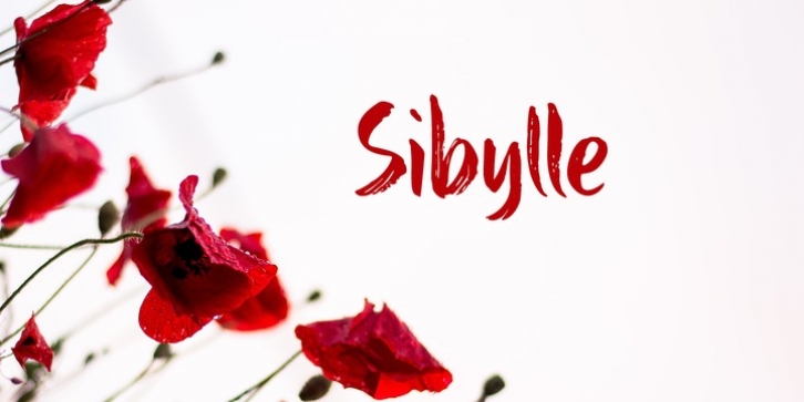 Sibylle font preview