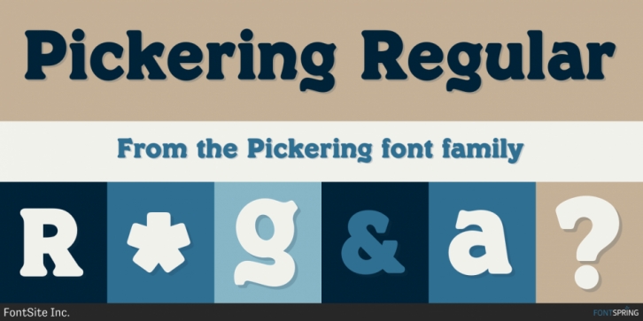 Pickering font preview