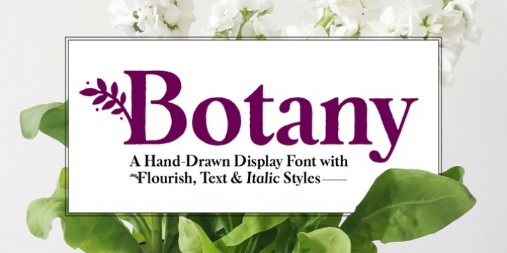 Botany font preview