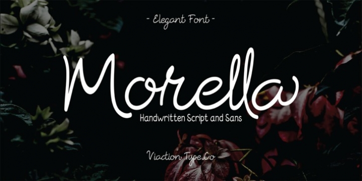 Morella font preview