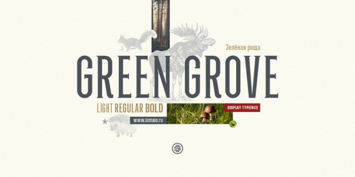 Green Grove font preview